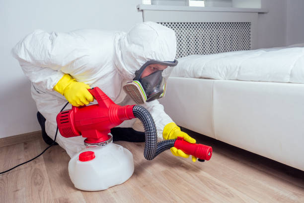 Best Best Pest Control Companies  in Bellemont, AZ